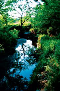 Environment